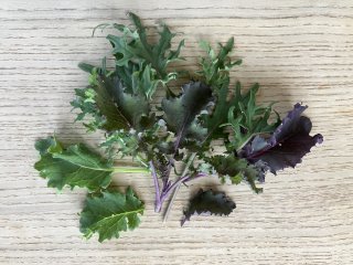 Baby-Kale, kleine Portion